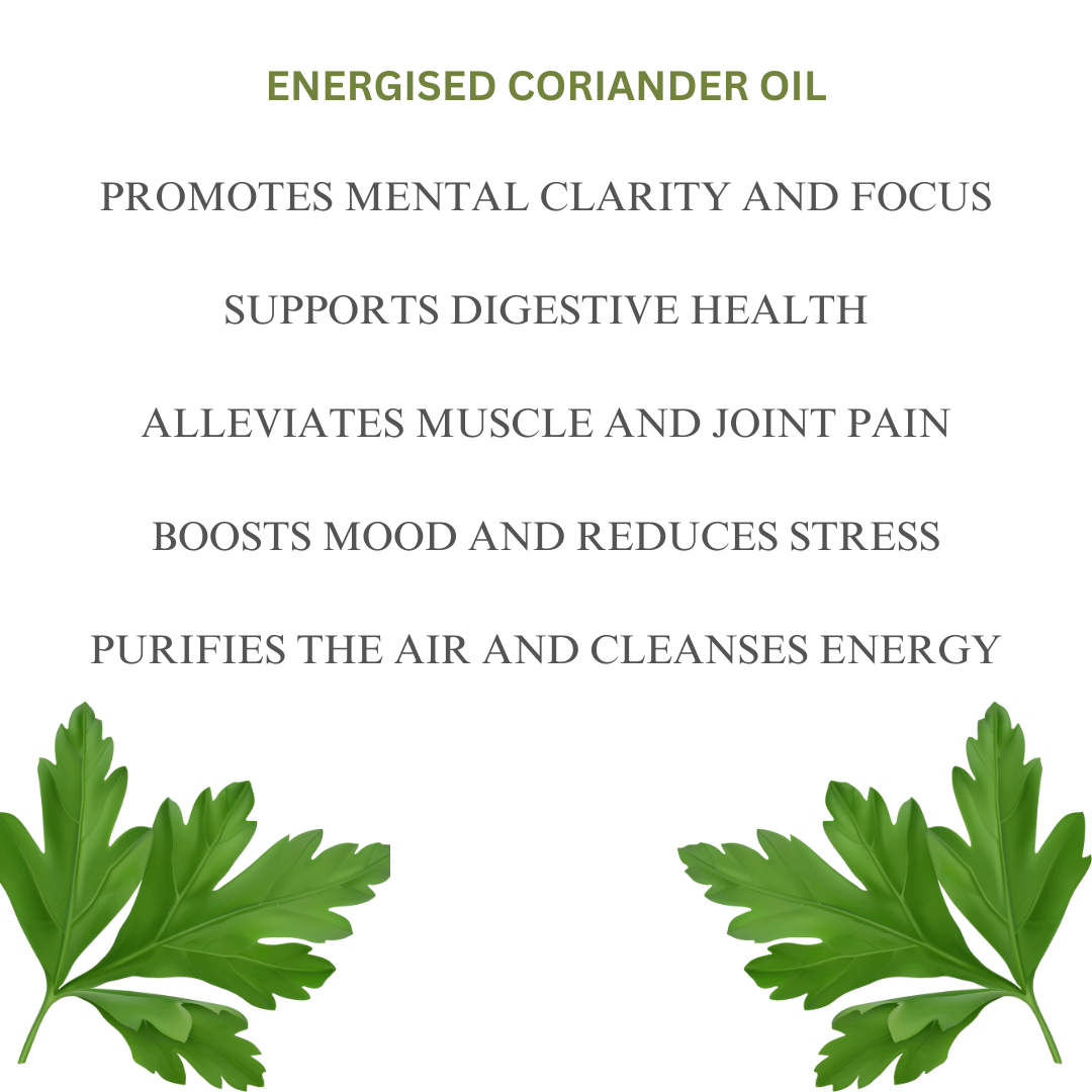 Coriander Essential Oil 30 ml