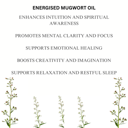 Mugwort Essential Oil 30 ml