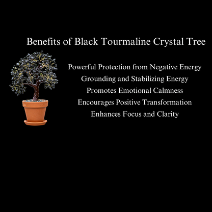 Energised Black Tourmaline Crystal Tree