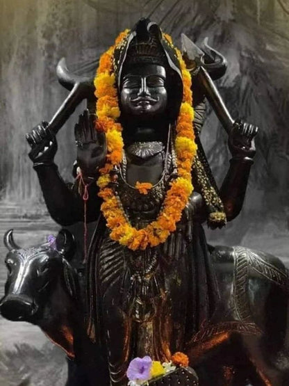 Shani Dev Puja