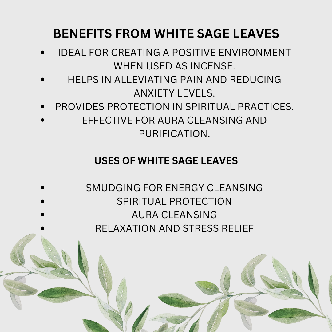 White Sage Dried Leaves 30 gm