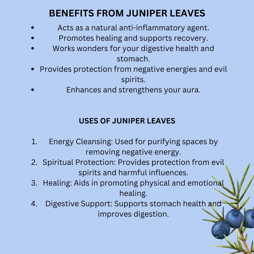 Juniper Dried Leaves 30 gm