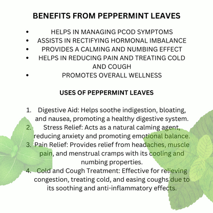 Peppermint Dried Leaves 30 gm