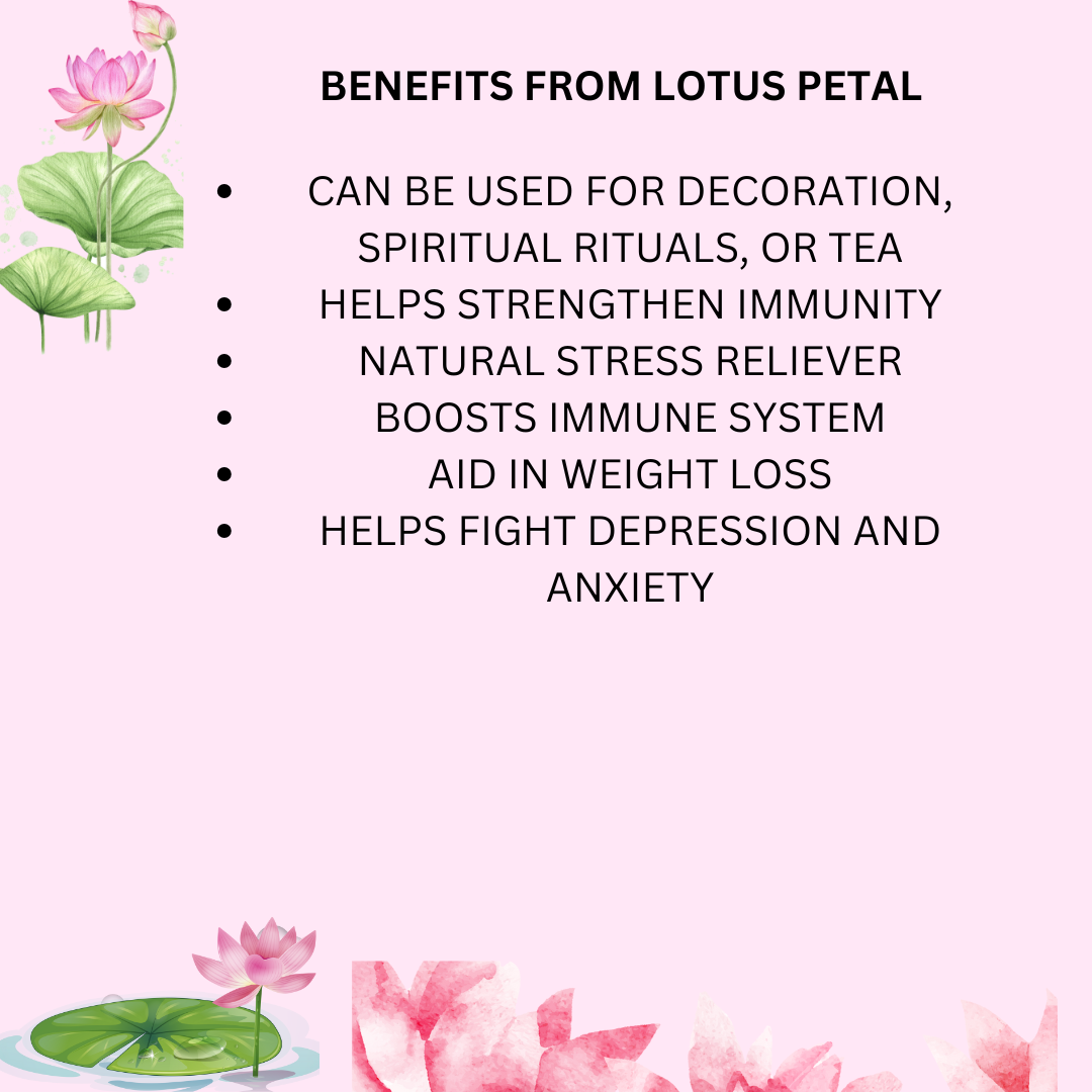 Dried Lotus Petal 30 gm